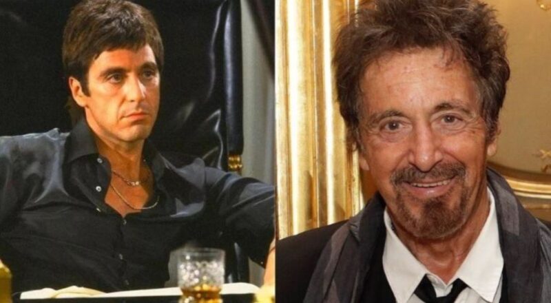 al pacino kimdir biyografisi oynad