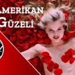 american beauty film tanit