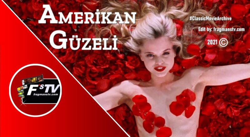 american beauty film tanit