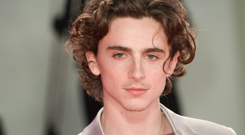 timothee chalamet kimdir biyografisi